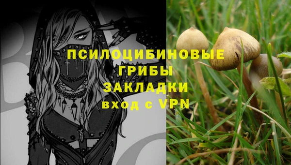 мескалин Богданович