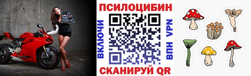 Псилоцибиновые грибы Magic Shrooms  Болотное 